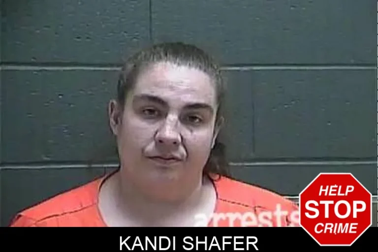 Kandi Shafer