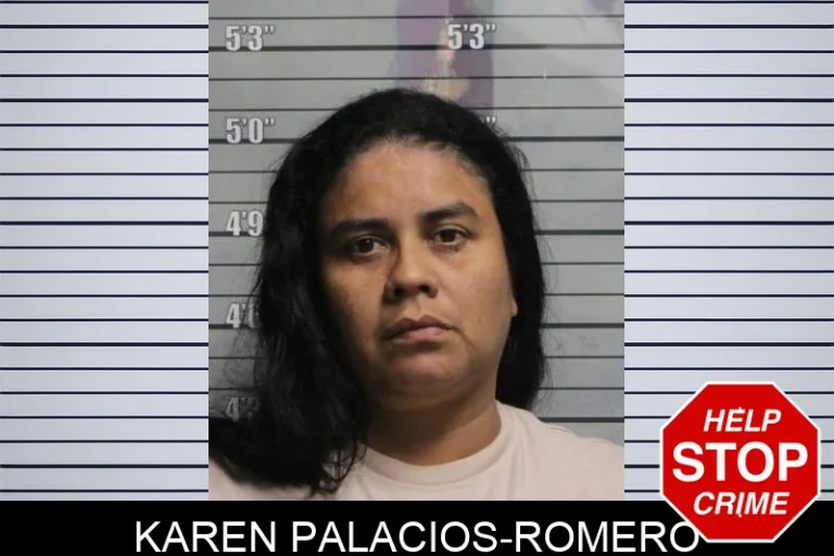 Karen Palacios-Romero