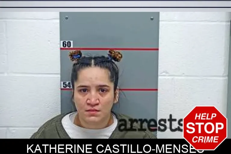 Katherine Castillo-Menses