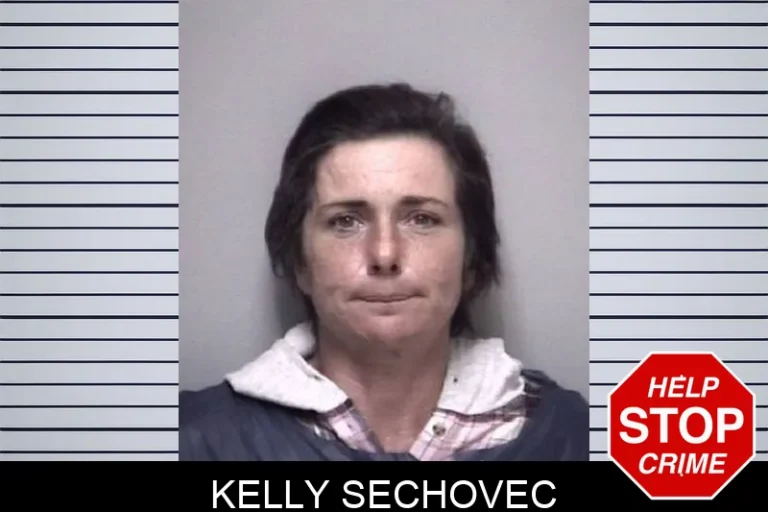 Kelly Sechovec