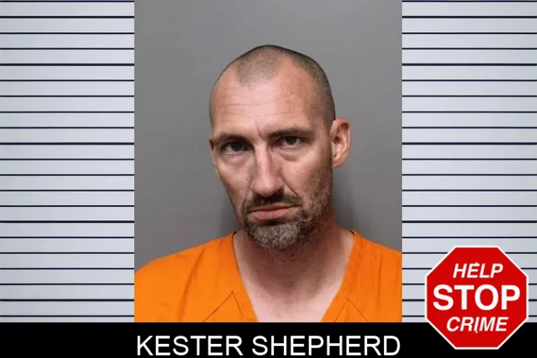 Kester Shepherd