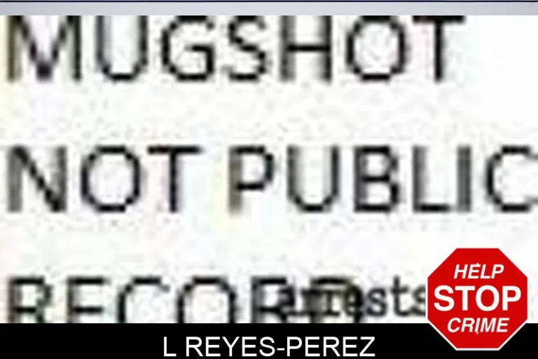 L Reyes-Perez