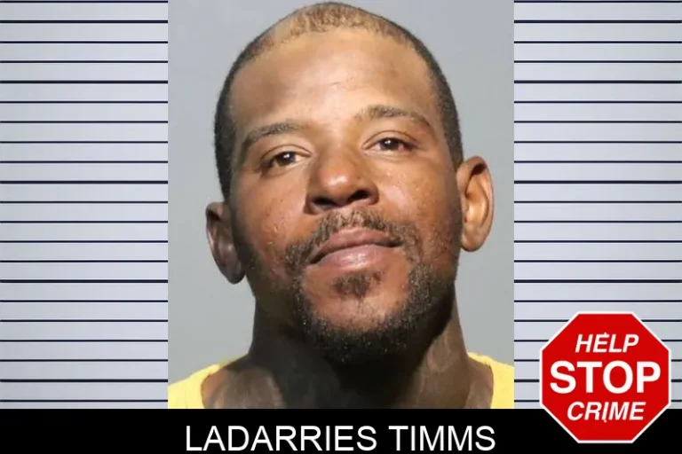 Ladarries Timms