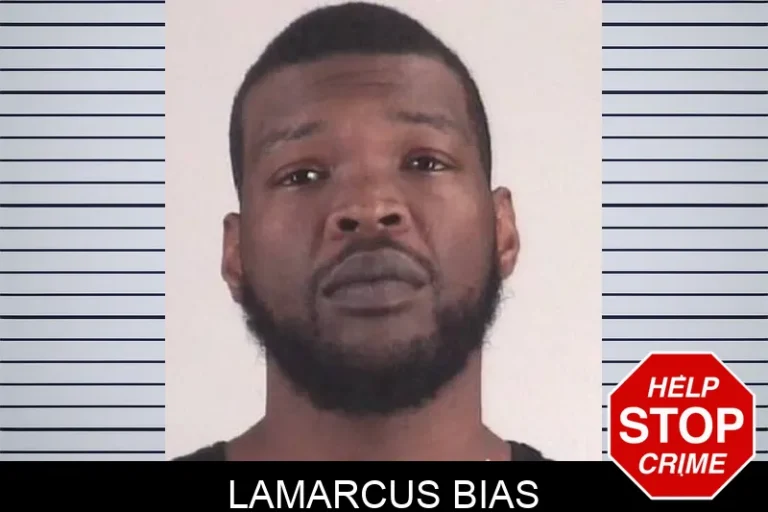 LamarcuS Bias