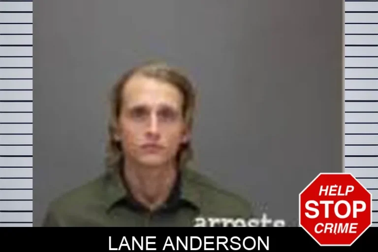 Lane Anderson