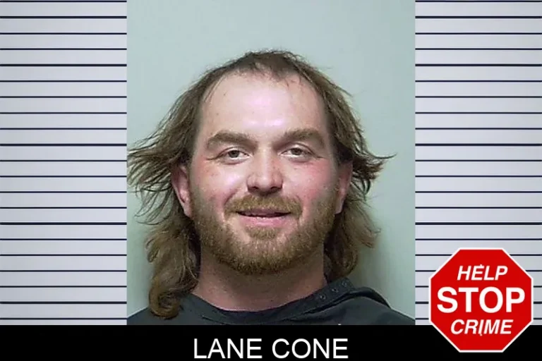 Lane Cone