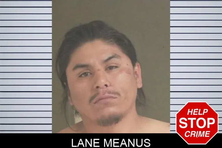 Lane MeanuS