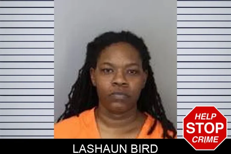 LashauN Bird