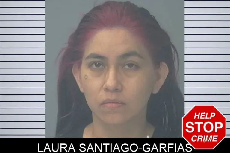 LauRa Santiago-Garfias