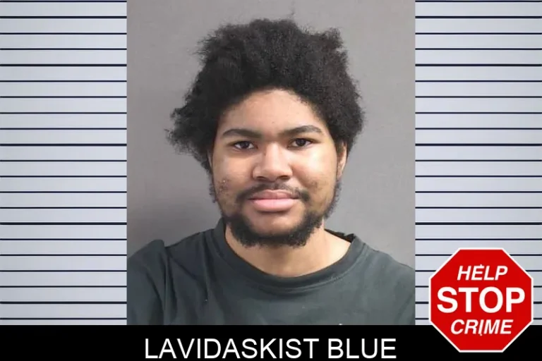 Lavidaskist BluE