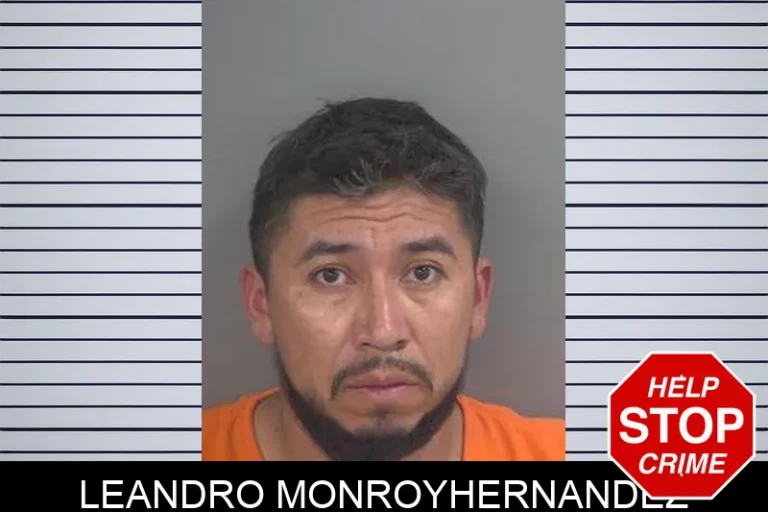 Leandro Monroyhernandez