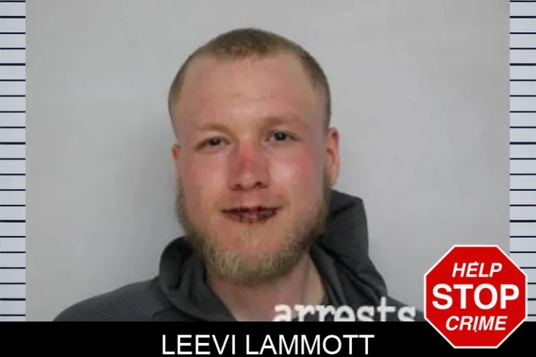 Leevi Lammott