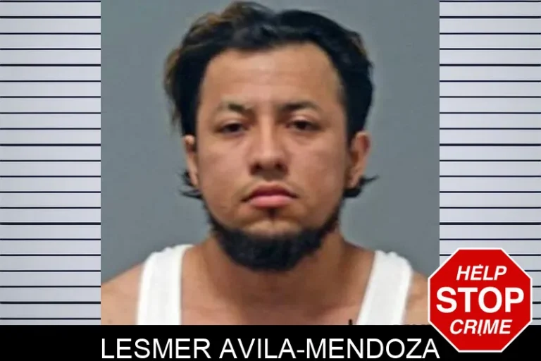Lesmer Avila-Mendoza