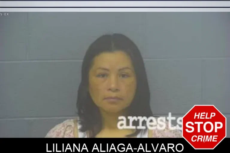 Liliana Aliaga-Alvaro