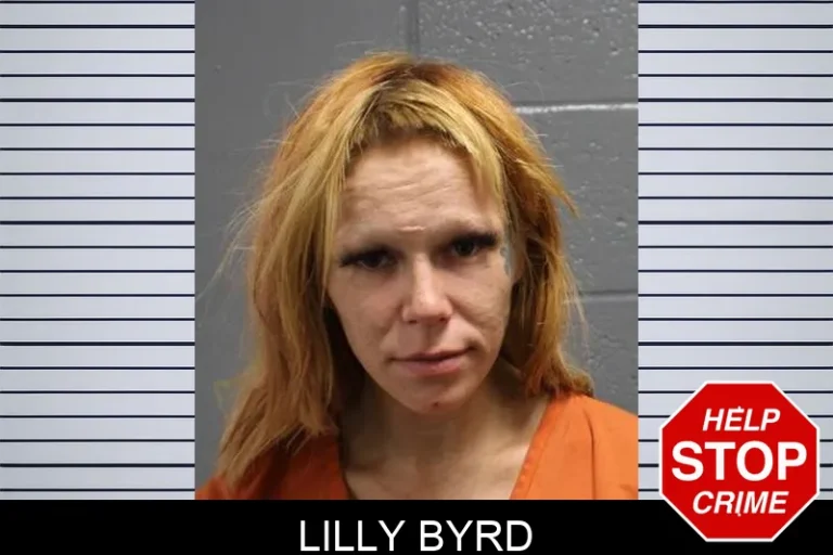 Lilly Byrd