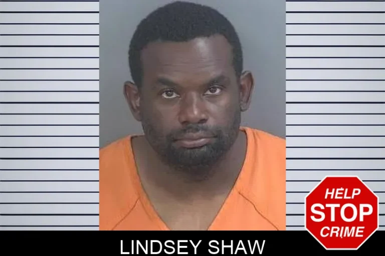 Lindsey Shaw