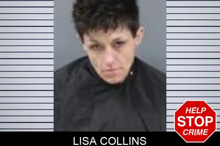Lisa Collins