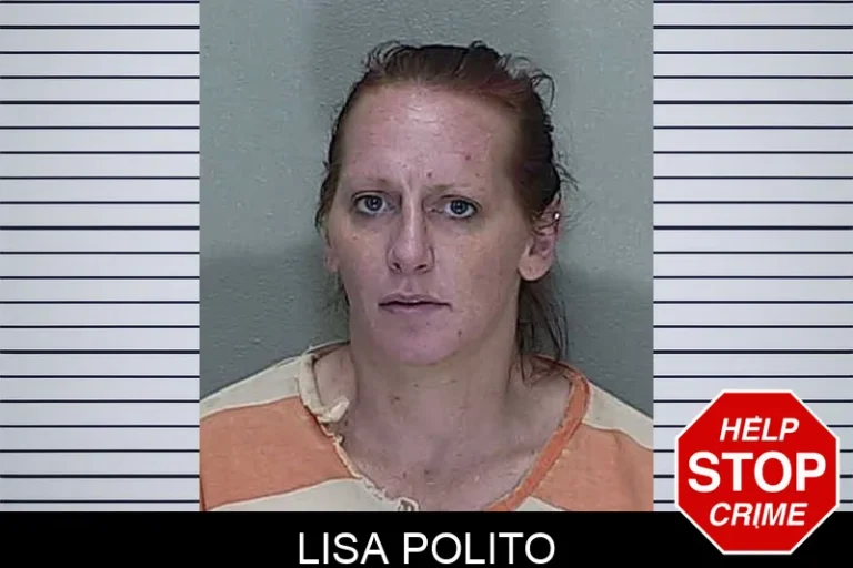 Lisa Polito