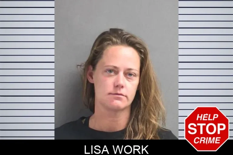 Lisa Work
