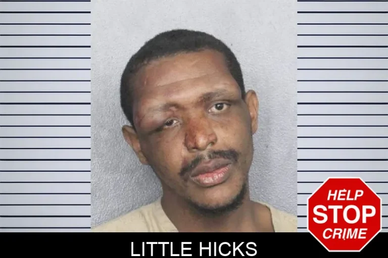 Little Hicks