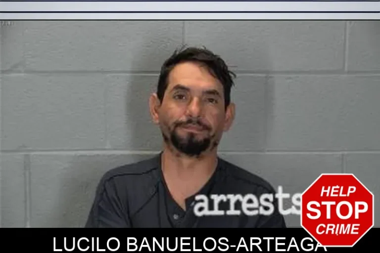 LuCilo BanuElos-Arteaga