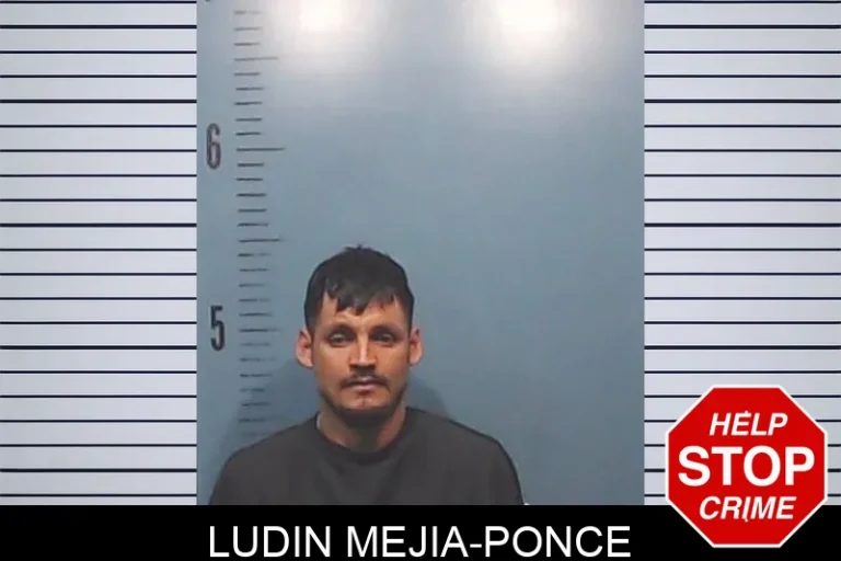 LuDin Mejia-Ponce
