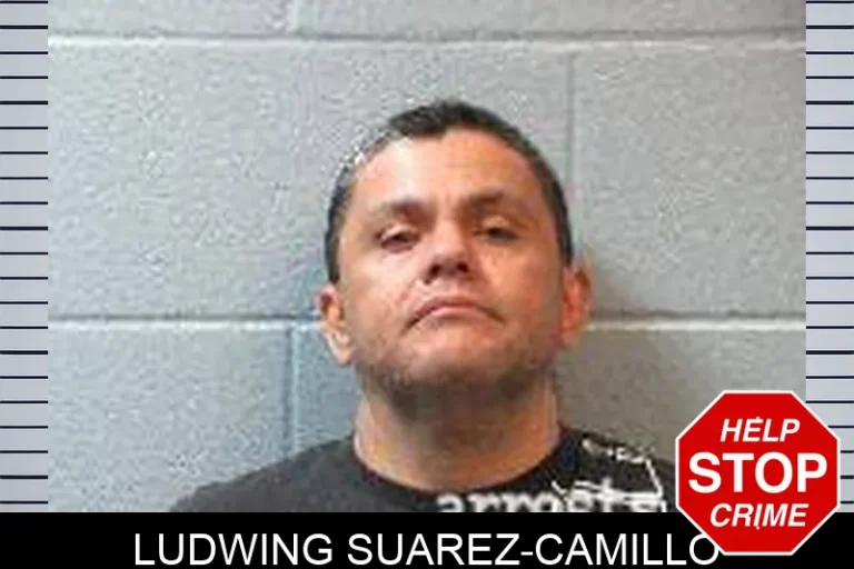 LuDwing SuArez-Camillo