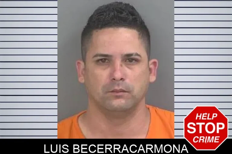 LuIs Becerracarmona