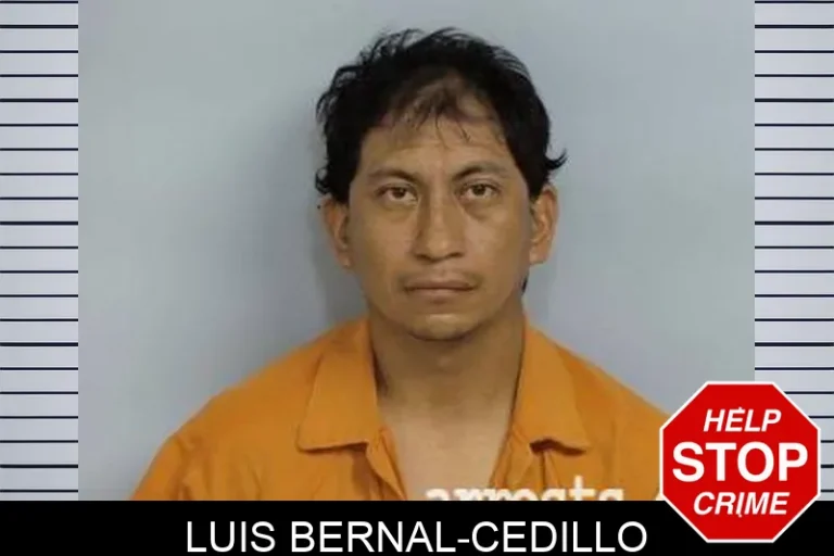 LuIs Bernal-Cedillo