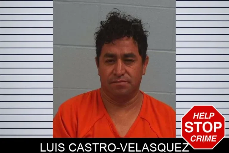 LuIs Castro-VelasquEz