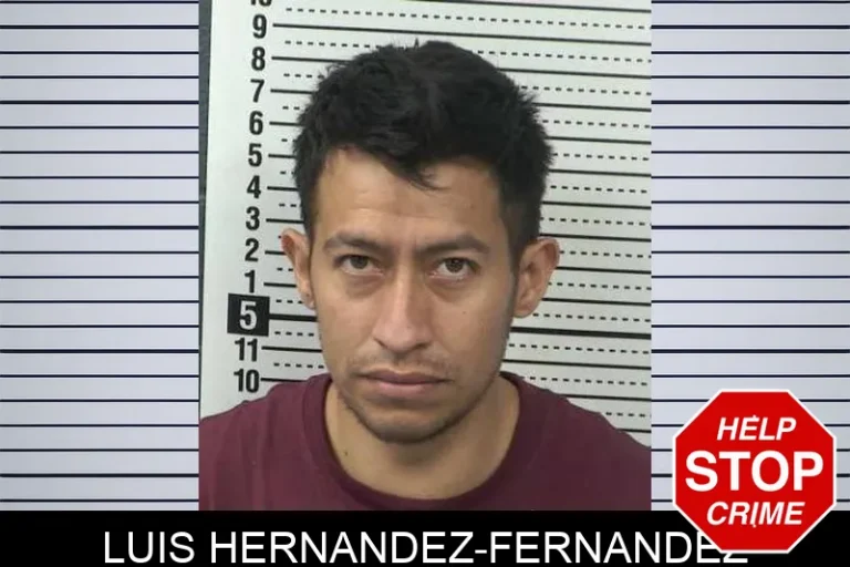 LuIs Hernandez-Fernandez