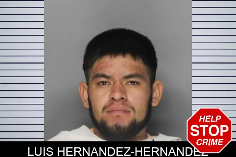 LuIs Hernandez-Hernandez