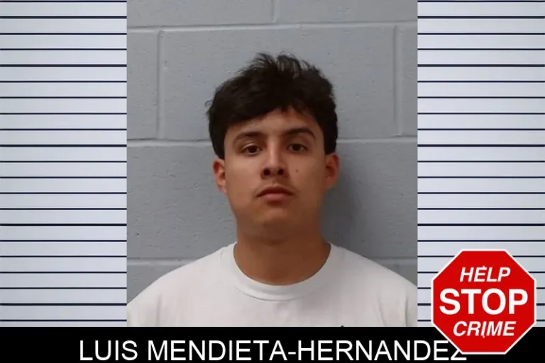 LuIs Mendieta-Hernandez