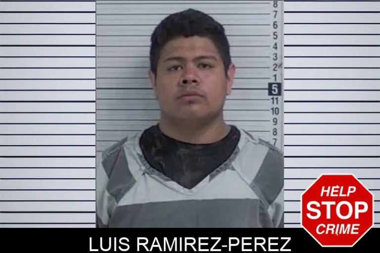 LuIs Ramirez-Perez