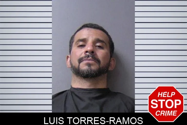 LuIs Torres-Ramos