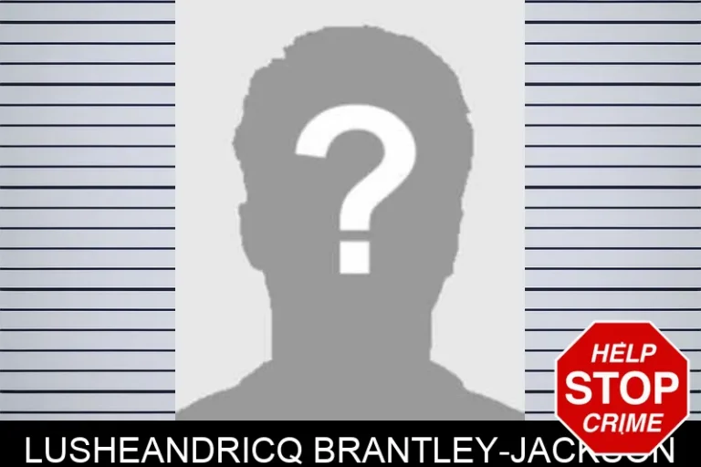 LuSheandricq Brantley-Jackson