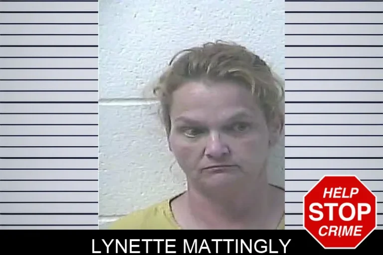 Lynette Mattingly