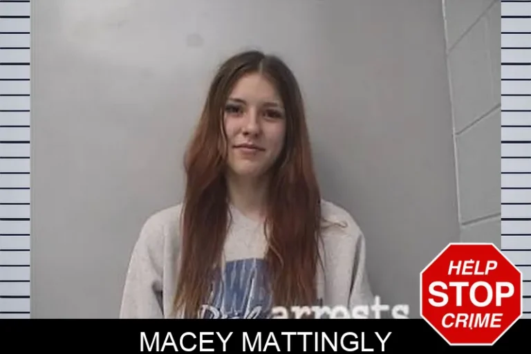 Macey Mattingly