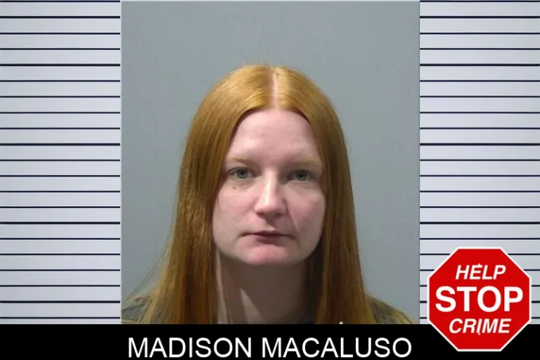 Madison Macaluso