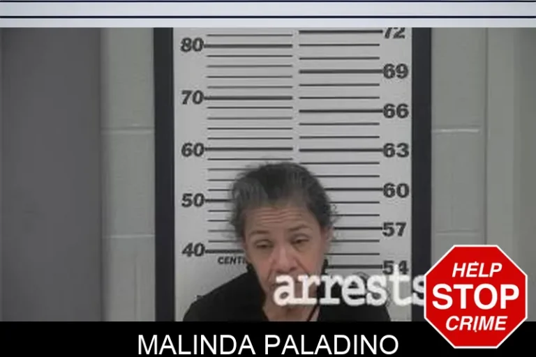 Malinda Paladino