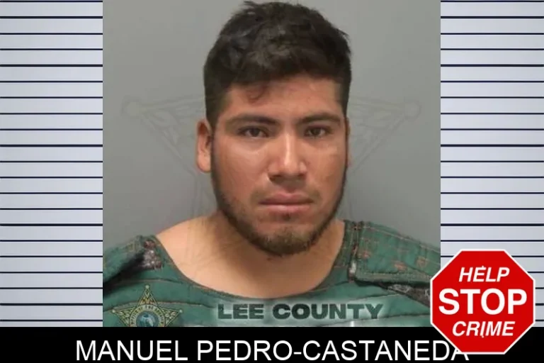 ManuEl Pedro-Castaneda