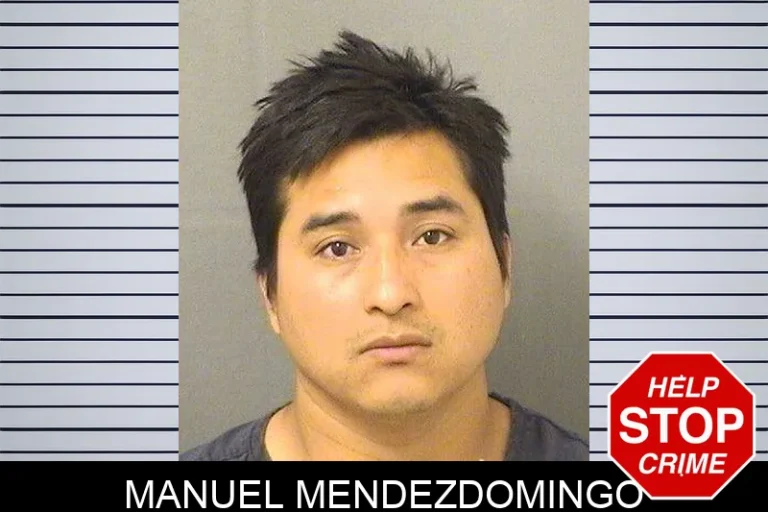 Manuel Mendezdomingo