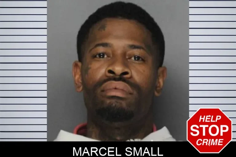 Marcel Small