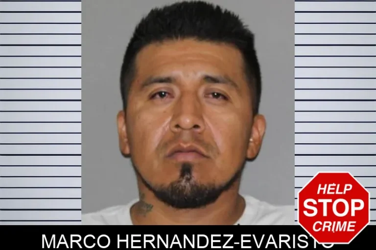 Marco Hernandez-Evaristo