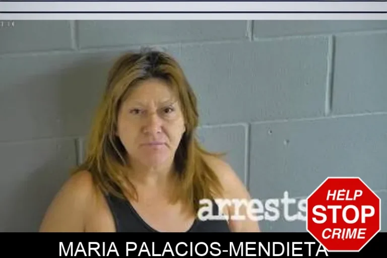 Maria Palacios-Mendieta