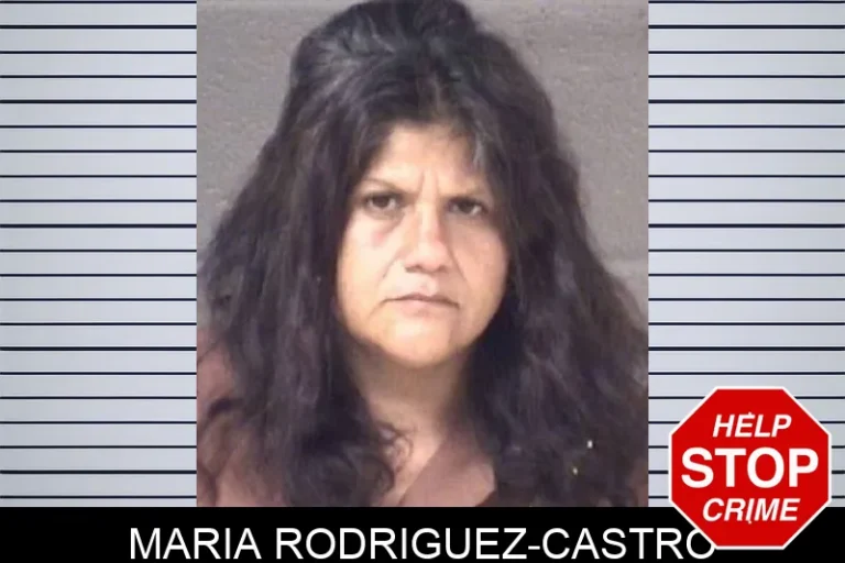 Maria RodriguEz-Castro