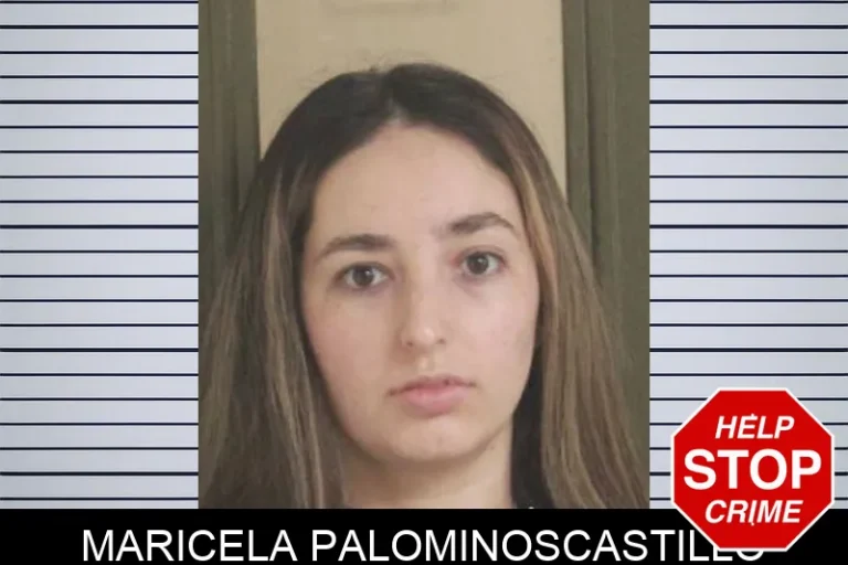 Maricela Palominoscastillo
