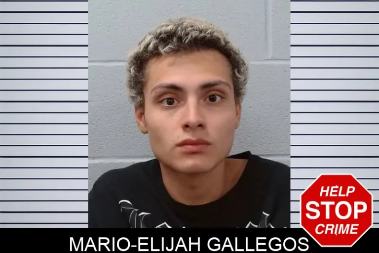 Mario-Elijah Gallegos