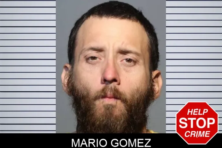 Mario Gomez
