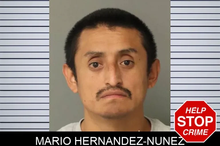 Mario Hernandez-NuNez